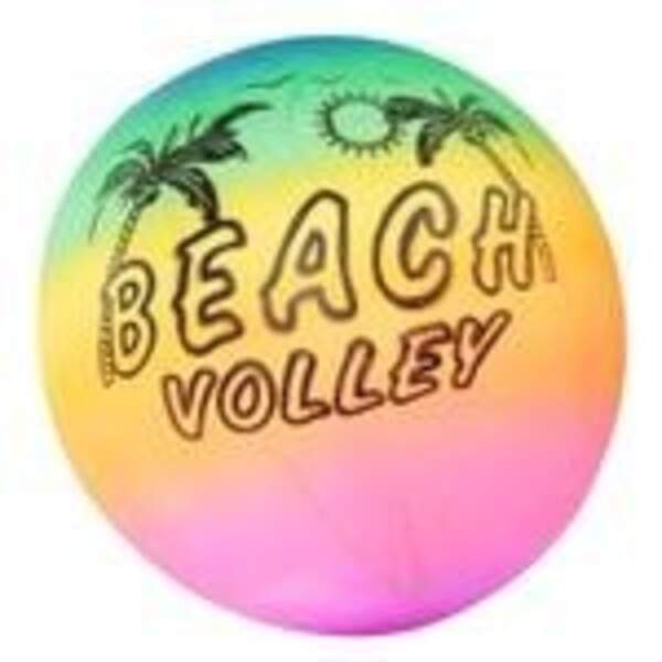 М'яч 9" волейбол BT-PB-0007 кольоровий 60г сітка /300/ (шт.)