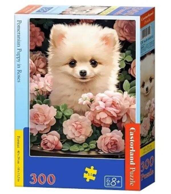 Пазл Castorland 300 B-030552 (шт)