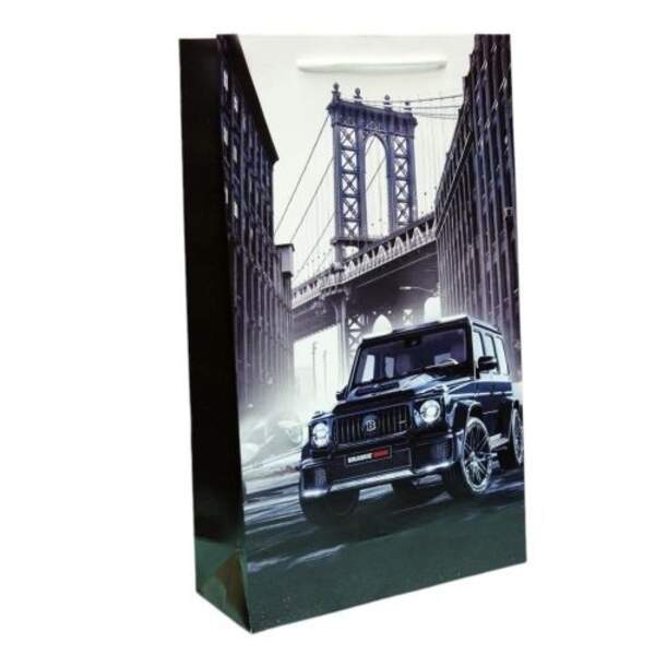 Пакет подарунковий 40*24*9см БВ-1064КРТ (120шт) (шт)