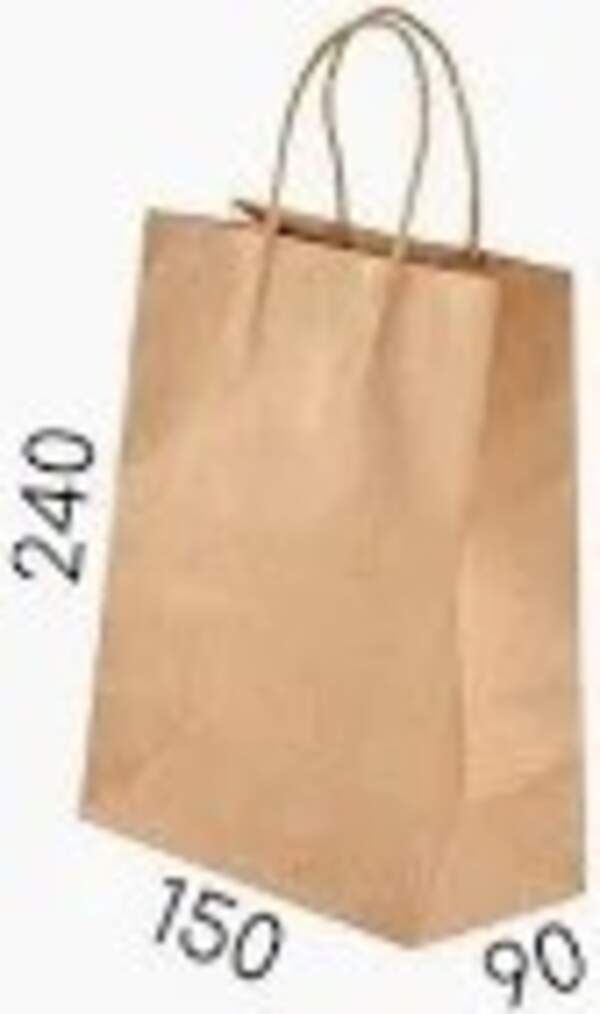 Пакет з ручкою, крафт бурий, 150*90*240 мм (250 шт\ящ) (шт)