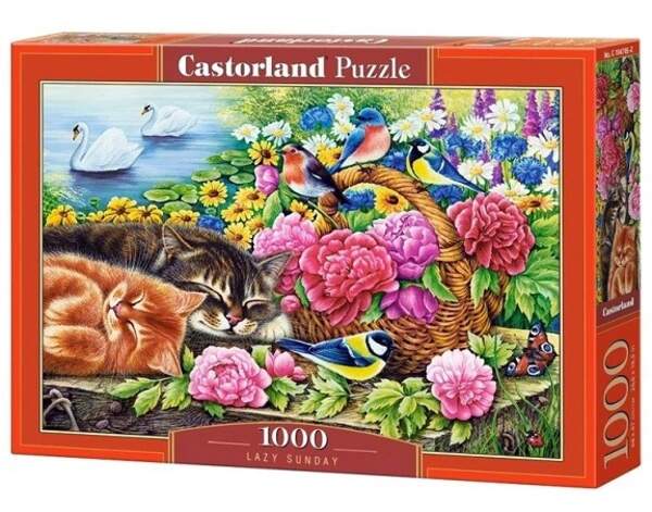 Пазл Castorland 1000 C-104765 (шт)